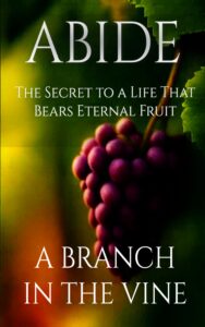 ABIDE: The Secret to a Life That Bears Eternal Fruit