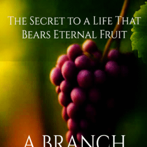 Book cover of ABIDE: The Secret to a Life That Bears Eternal Fruit by AbideRooted